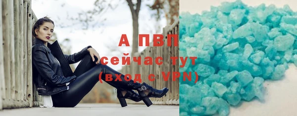 ПСИЛОЦИБИНОВЫЕ ГРИБЫ Инсар