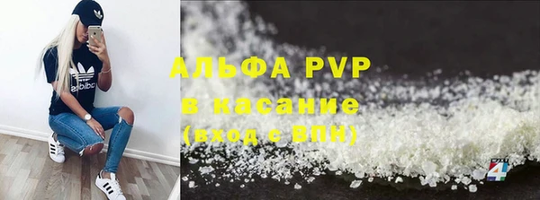 ПСИЛОЦИБИНОВЫЕ ГРИБЫ Инсар