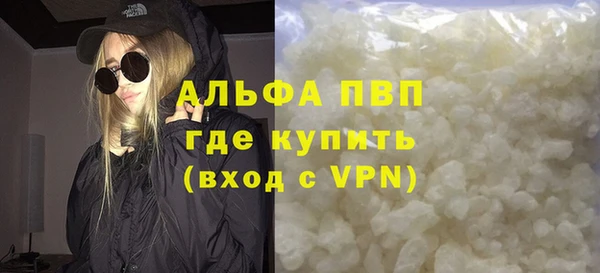 ПСИЛОЦИБИНОВЫЕ ГРИБЫ Инсар