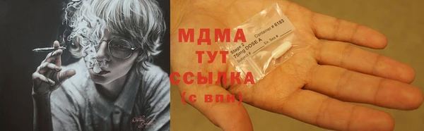 ПСИЛОЦИБИНОВЫЕ ГРИБЫ Инсар