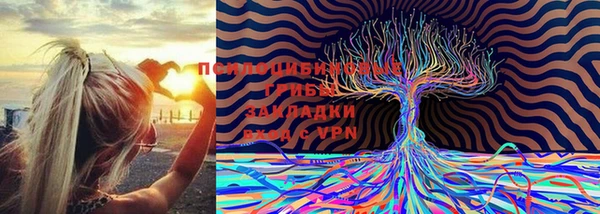 кокаин Каменка