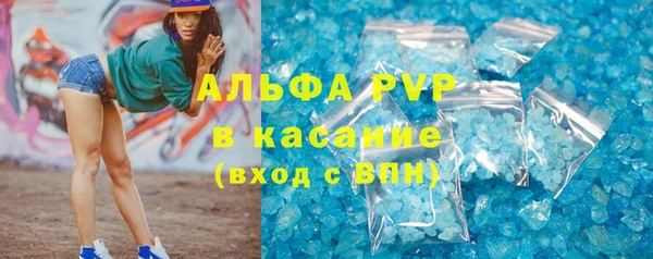 ПСИЛОЦИБИНОВЫЕ ГРИБЫ Инсар