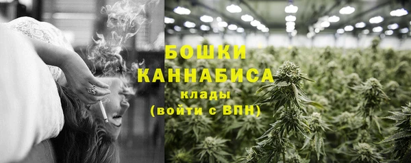 ПСИЛОЦИБИНОВЫЕ ГРИБЫ Инсар