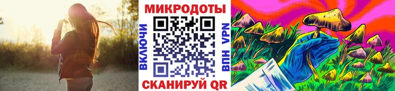 Псилоцибиновые грибы прущие грибы  где найти наркотики  Яхрома 
